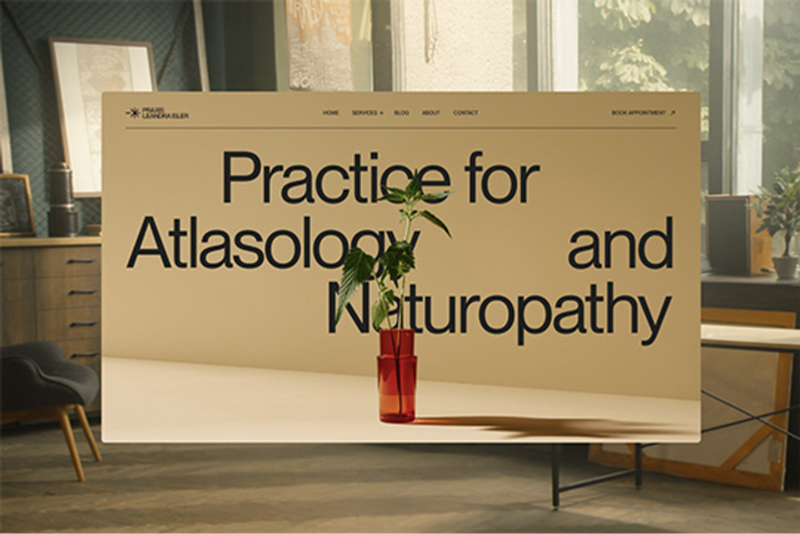 Leandra Isler Practice